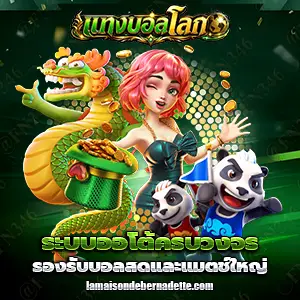 เว็บแทงบอลโลก